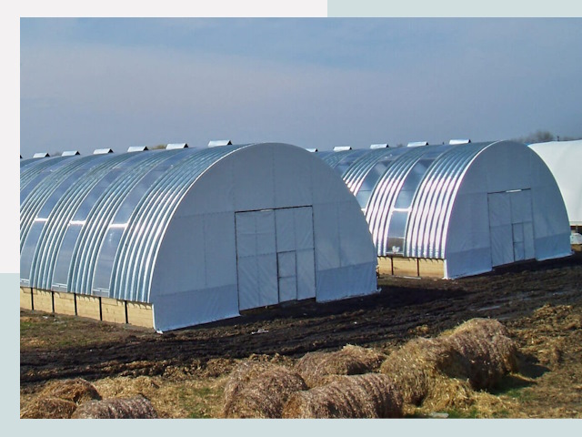 Сельскохозяйственные здания в Сосновом Боре