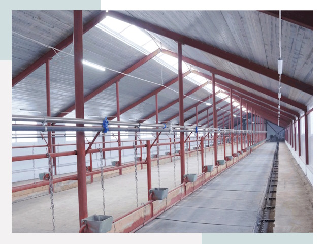 Строительство коровников в Сосновом Боре от 609 руб.