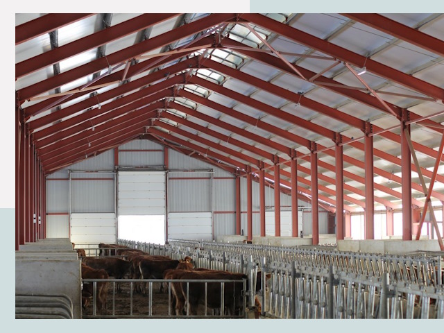 Строительство коровников в Сосновом Боре