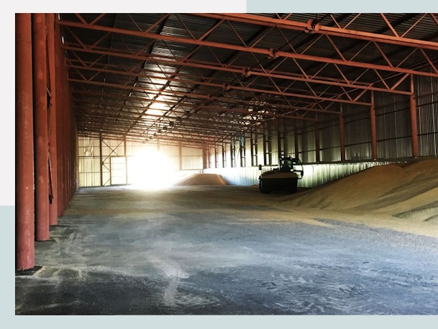 Строительство зернохранилищ в Сосновом Боре