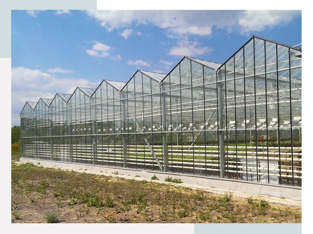 Строительство теплиц в Сосновый Бор от 609 руб. за м²