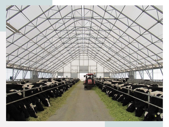 Тентовые коровники в Сосновом Боре от 609 руб. - Надежно и доступно